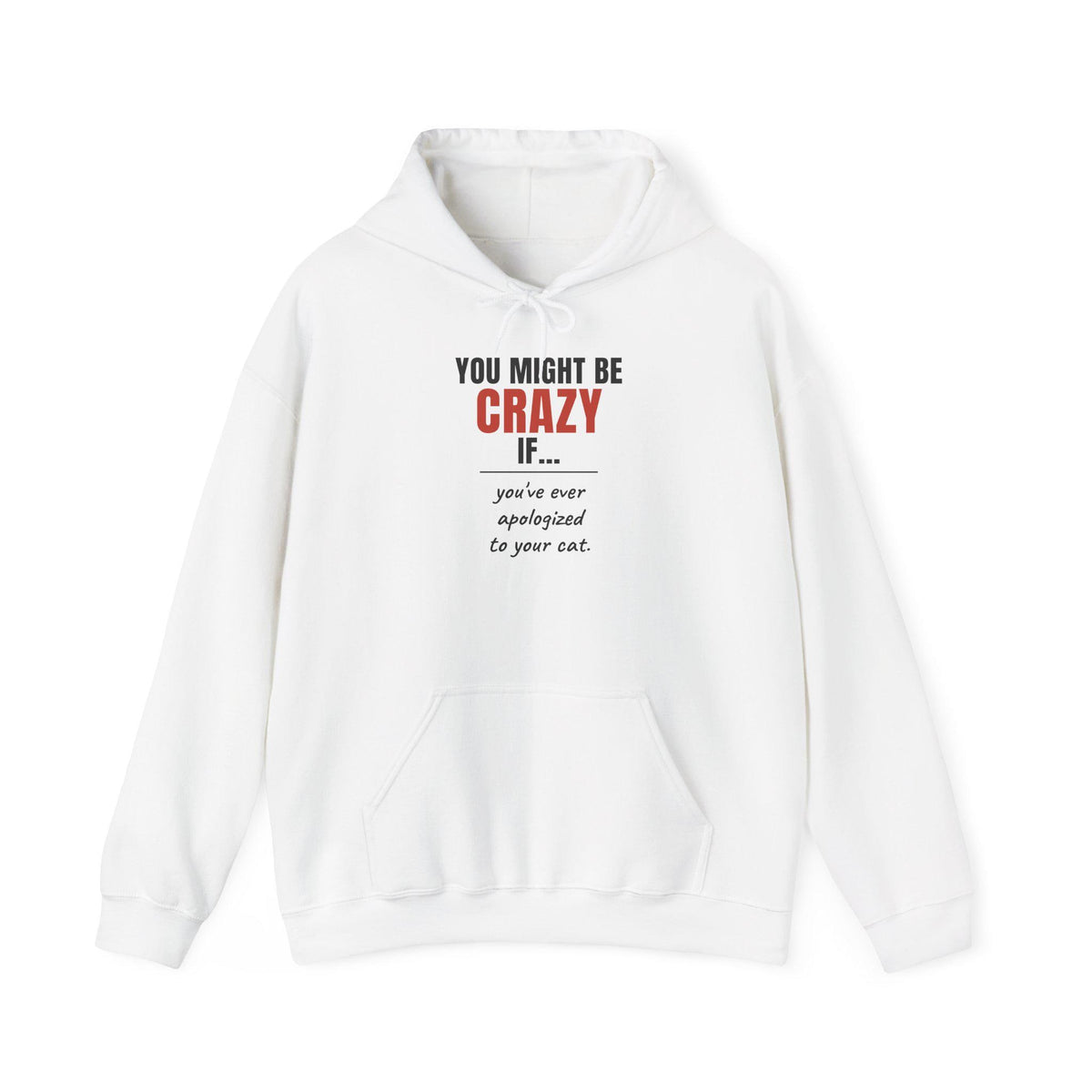 Funny Cat Hoodie, You Might Be Crazy If You've Ever Apologized To Your Cat, Cat Mom Gift Hooded Sweatshirt, Cat Lover Hoodie