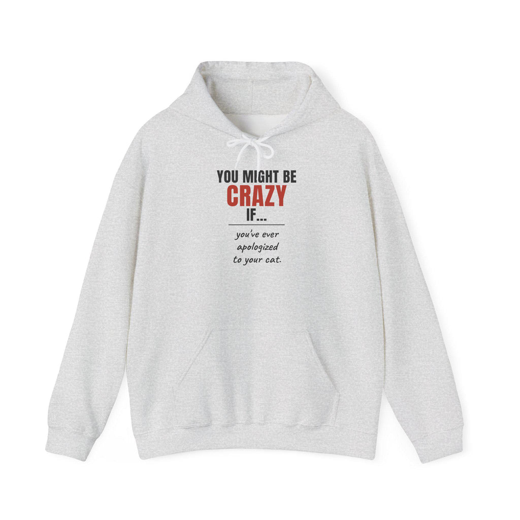 Funny Cat Hoodie, You Might Be Crazy If You've Ever Apologized To Your Cat, Cat Mom Gift Hooded Sweatshirt, Cat Lover Hoodie