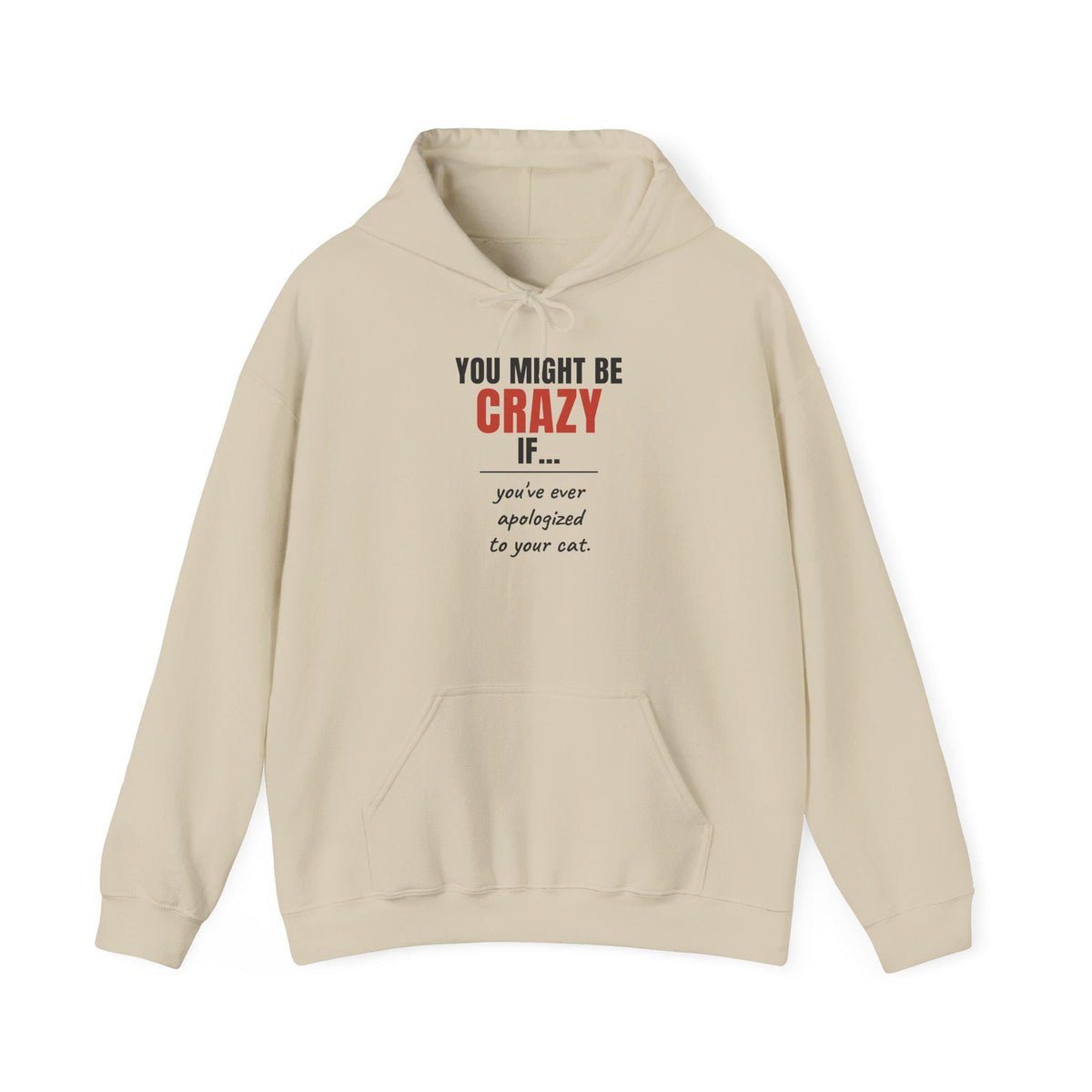 Funny Cat Hoodie, You Might Be Crazy If You've Ever Apologized To Your Cat, Cat Mom Gift Hooded Sweatshirt, Cat Lover Hoodie
