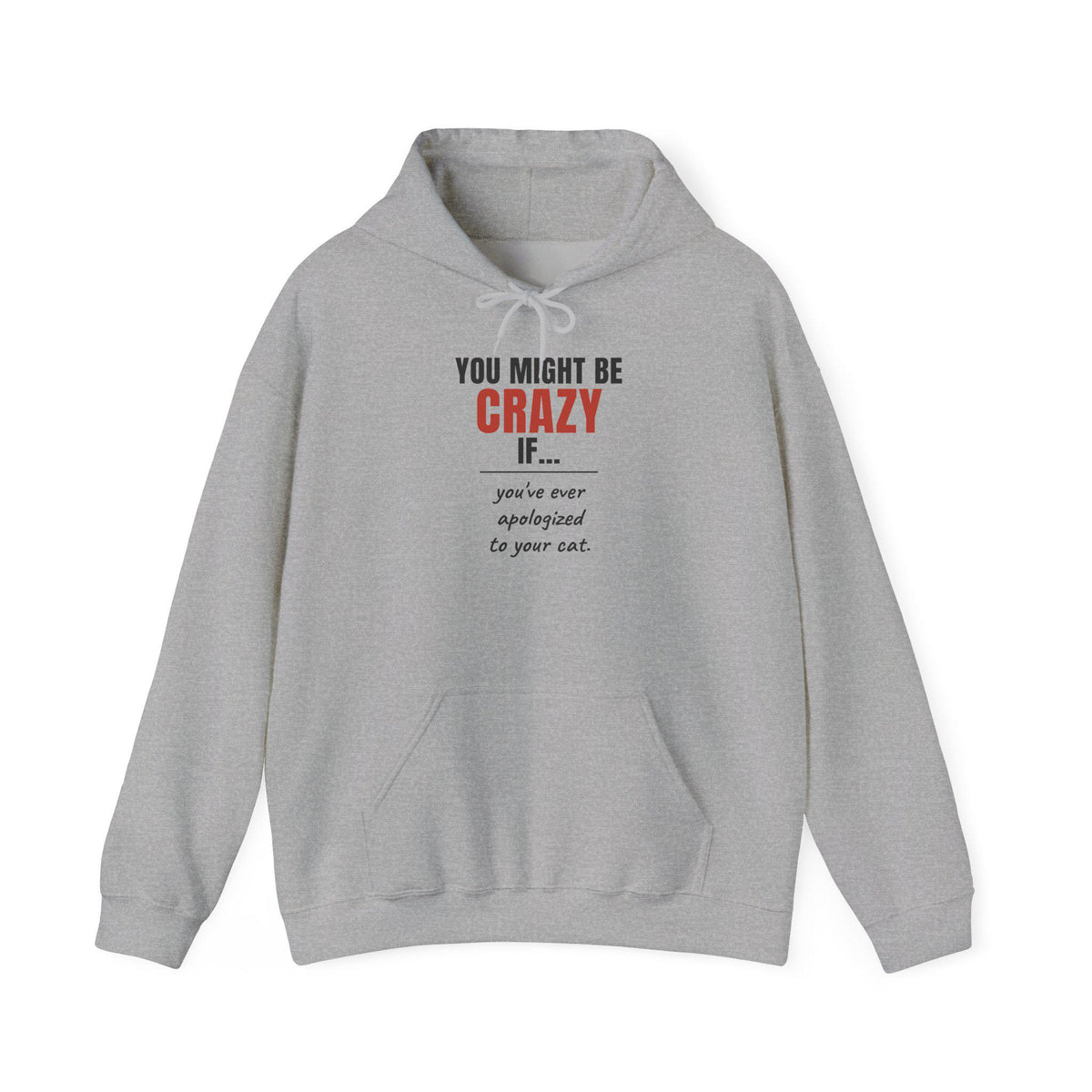 Funny Cat Hoodie, You Might Be Crazy If You've Ever Apologized To Your Cat, Cat Mom Gift Hooded Sweatshirt, Cat Lover Hoodie