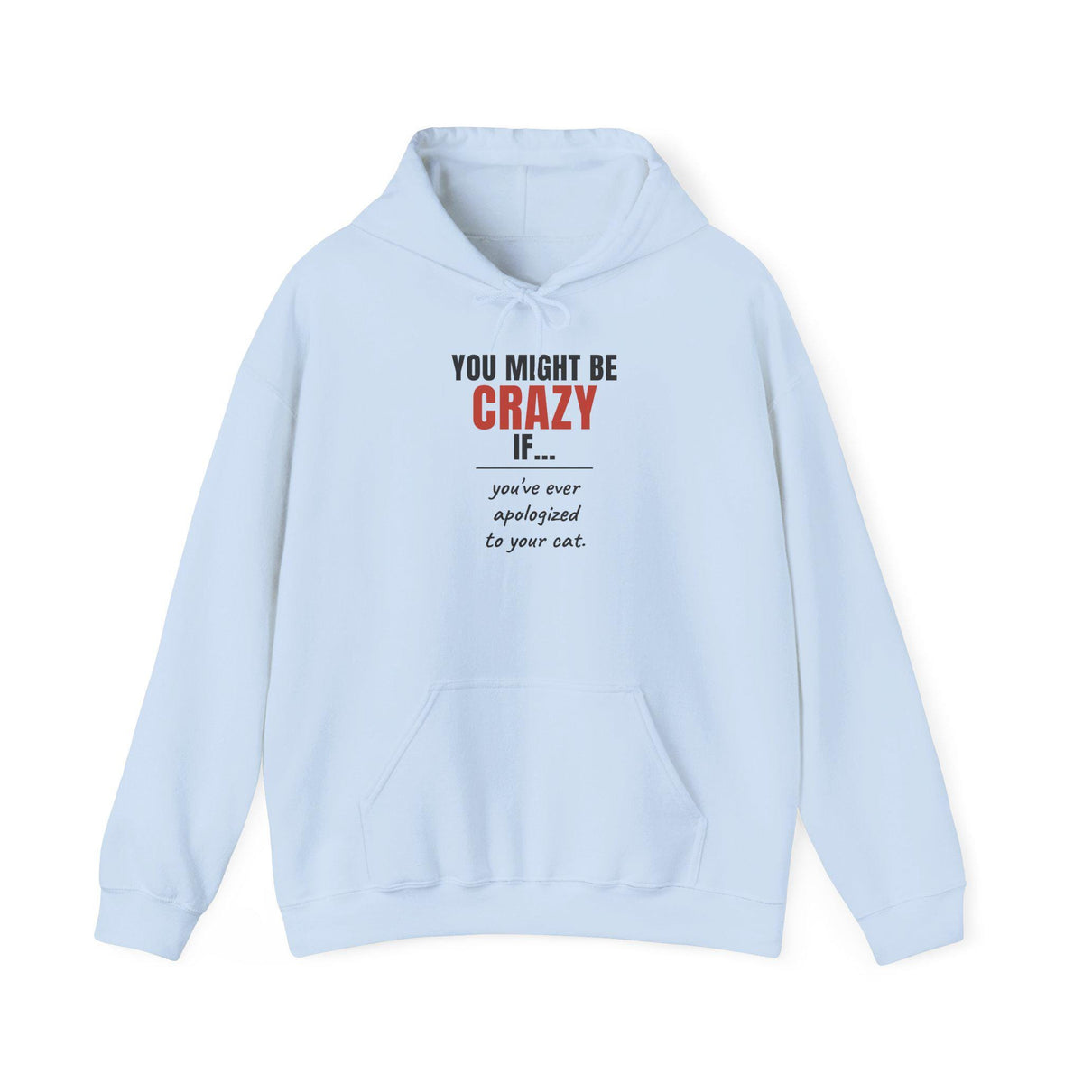 Funny Cat Hoodie, You Might Be Crazy If You've Ever Apologized To Your Cat, Cat Mom Gift Hooded Sweatshirt, Cat Lover Hoodie